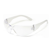 Wrap Around Safety Glasses Clear